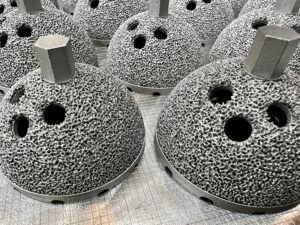 Amnovis In-Booth Presentation 3D-Printed Implants